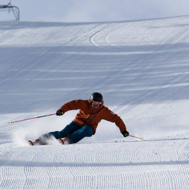 Salomon Stance Ski Demo