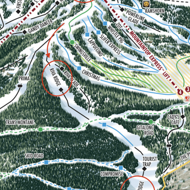 Ski Run - Vail - Riva Ridge