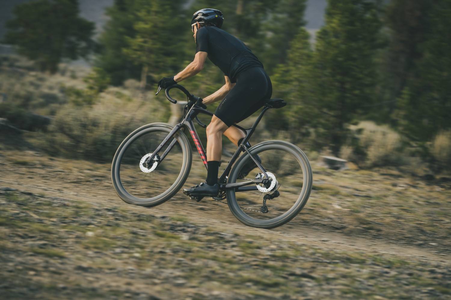 giant gravel bike rentals